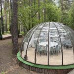 Автоматизация процессов и внедрение показателей эффективности позволят повысить качество управления отелем в рамках федеральной программы