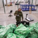 Служебный спаниэль предотвратил незаконный вывоз 1,5 млн рублей в аэропорту Толмачево