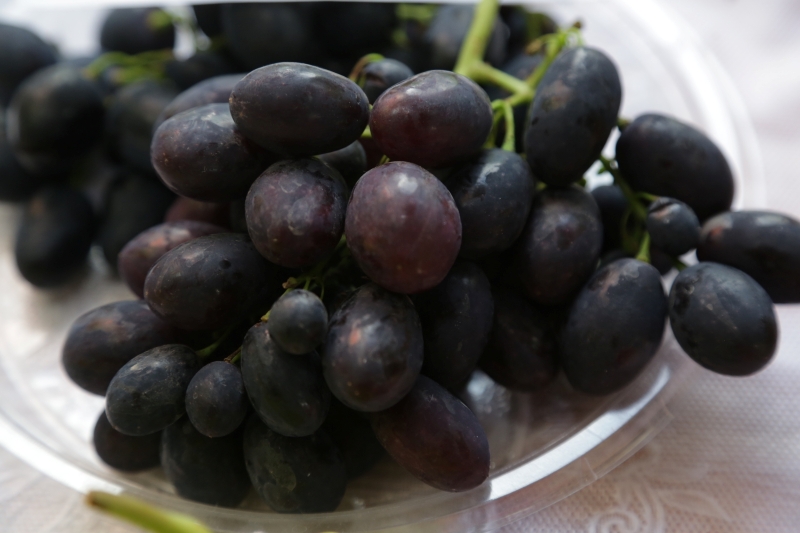 Зараженная повиликой партия узбекского винограда не попала в Новосибирск