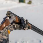 Житель Оби предстанет перед судом за убийство косули в Здвинском районе