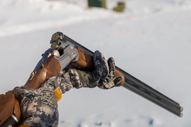 Житель Оби предстанет перед судом за убийство косули в Здвинском районе