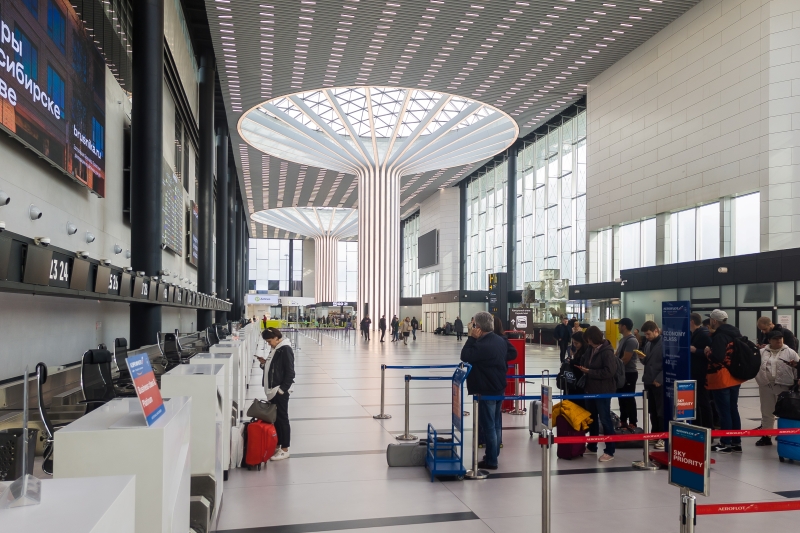 Организатор схемы незаконной миграции через аэропорт Толмачево приговорен к лишению свободы