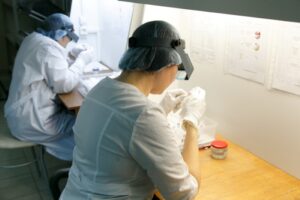 Анна Вятчинина рассказала как получить квоту на ЭКО по полису ОМС в Новосибирской области