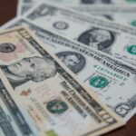 В аэропорту Толмачево пес Кодилак обнаружил у пассажира 20 тысяч долларов