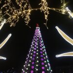 Глава города Сергей Синяев и председатель Совета депутатов Михаил Гольдштейн поздравили обчан с Новым годом