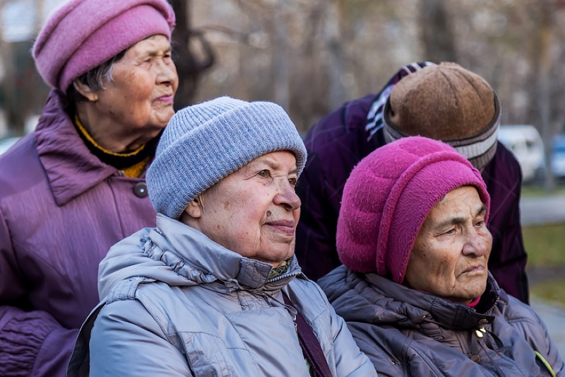 СФР подготовил документы для назначения пенсий 29 тысячам жителей Новосибирской области