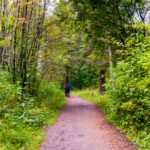 Регион сформировал генетическую базу для лесов и перевыполнил план по их восстановлению