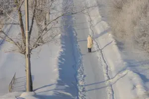 Андрей Травников предупредил о сложном паводке-2026 в Новосибирской области