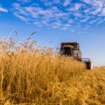 Новосибирская область экспортировала более 2,6 млн тонн агропродукции в 2025 году