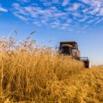 Глава минсельхоза НСО назвал сохранение посевных площадей приоритетом 2026 года