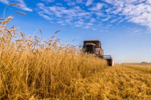 Глава минсельхоза НСО назвал сохранение посевных площадей приоритетом 2026 года