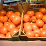 Партия узбекских томатов на 18 тонн не прошла фитосанитарный контроль в Новосибирской области