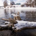 В Новосибирской области обсудили подготовку к весеннему паводку 2026 года