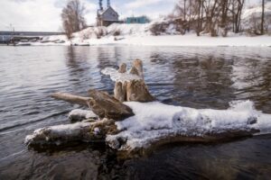 В Новосибирской области обсудили подготовку к весеннему паводку 2026 года