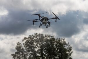 Дроны следят за перемещением скота в сёлах с карантином в Новосибирской области