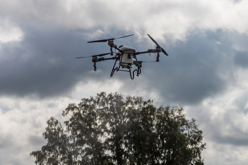 Дроны следят за перемещением скота в сёлах с карантином в Новосибирской области