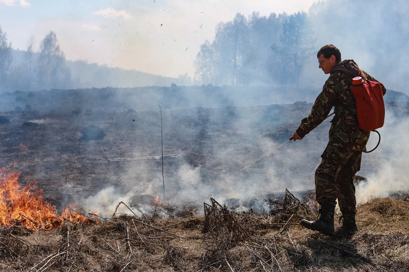 Губернатор Травников подписал постановление о начале пожароопасного сезона