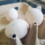 Новосибирские птицефабрики закрыли потребность региона в яйцах на 124 процента