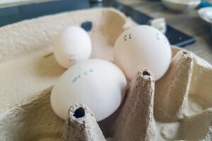 Новосибирские птицефабрики закрыли потребность региона в яйцах на 124 процента