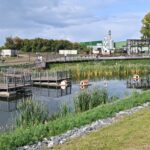 Стартовало голосование жителей Оби о будущем арт-объекте на территории эко-парка «Обской»