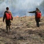 В Новосибирской области количество камер «Лесохранитель» вырастет до 54