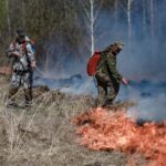 Особый противопожарный режим введён в Новосибирской области до середины мая