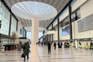 Шутка о бомбе в аэропорту Толмачёво обернулась для новосибирца судимостью