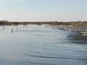 В Новосибирской области из-за талых вод закрыли движение на трёх дорогах в разных районах