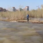Сапсерфера без единого средства защиты спасли с острова Кустовой на Оби