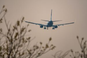 Областной суд освободил обвиняемого в повреждении самолёта в аэропорту Толмачёво от штрафа