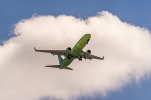 Суд оштрафовал «Сибирь» за оставленный в Толмачёво багаж пассажира