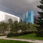 Декоративные ограждения и кустарники установят в парке Бугакова чтобы остановить велокурьеров в Новосибирске