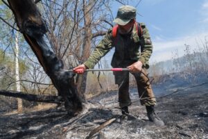 Андрей Травников призвал усилить патрулирование лесов в пожароопасный период