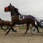 Новосибирская область выиграла командный зачёт первого этапа Большого Сибирского Круга