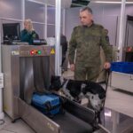 Более трёх тысяч штук сигарет изъяли таможенники в аэропорту Толмачёво у пассажира из Узбекистана