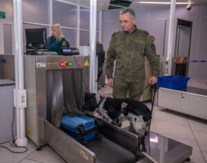 Более трёх тысяч штук сигарет изъяли таможенники в аэропорту Толмачёво у пассажира из Узбекистана