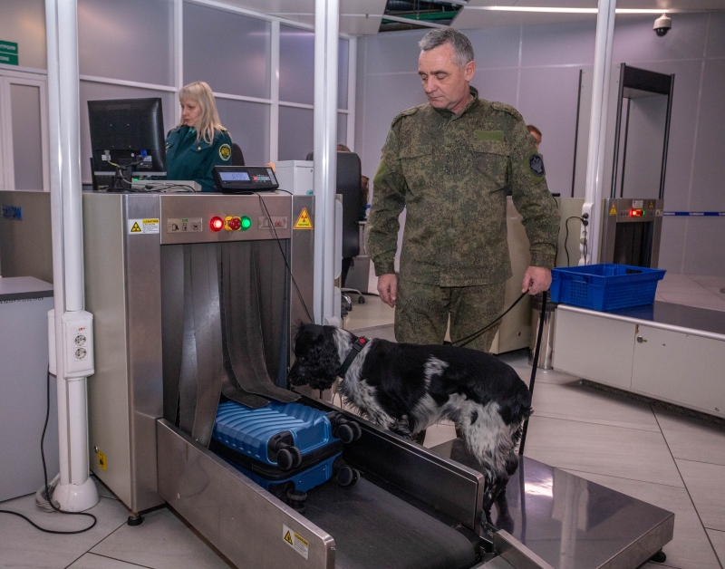 Более трёх тысяч штук сигарет изъяли таможенники в аэропорту Толмачёво у пассажира из Узбекистана