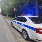В Заельцовском бору прошёл рейд против незаконного проезда автомобилей и мотоциклов