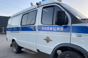 Силовики провели рейд на рынке «Азия-Сибирь» под Новосибирском