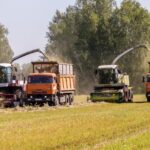 Владимир Путин отметил заслуги аграриев Новосибирской области медалями