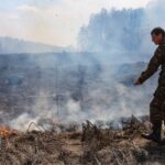 Пожарные региона помогли стабилизировать обстановку в лесах Томской области