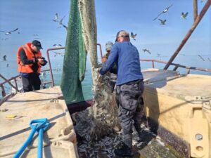 Водоёмы Новосибирской области пополнились 80 с половиной миллионами мальков рыбы