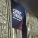 Мигранта-дебошира сняли с рейса в новосибирском аэропорту Толмачёво