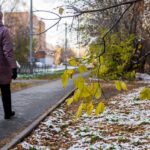 МЧС предупредило новосибирцев о штормовом ветре и снеге