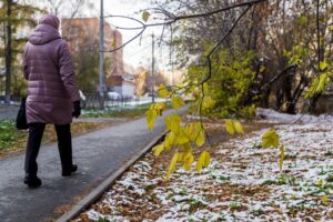 МЧС предупредило новосибирцев о штормовом ветре и снеге