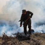 Пожароопасный сезон официально закрыли в Новосибирской области в середине октября